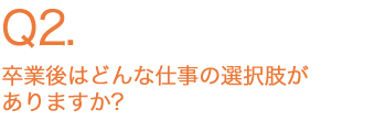 卒業後はどんな仕事の選択肢がありますか？