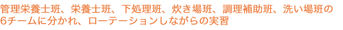 管理栄養士班、栄養士班、下処理班、炊き場班、調理補助班、洗い場班の6チームに分かれ、ローテーションしながらの実習