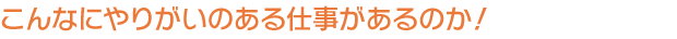 こんなにやりがいのある仕事があるのか！